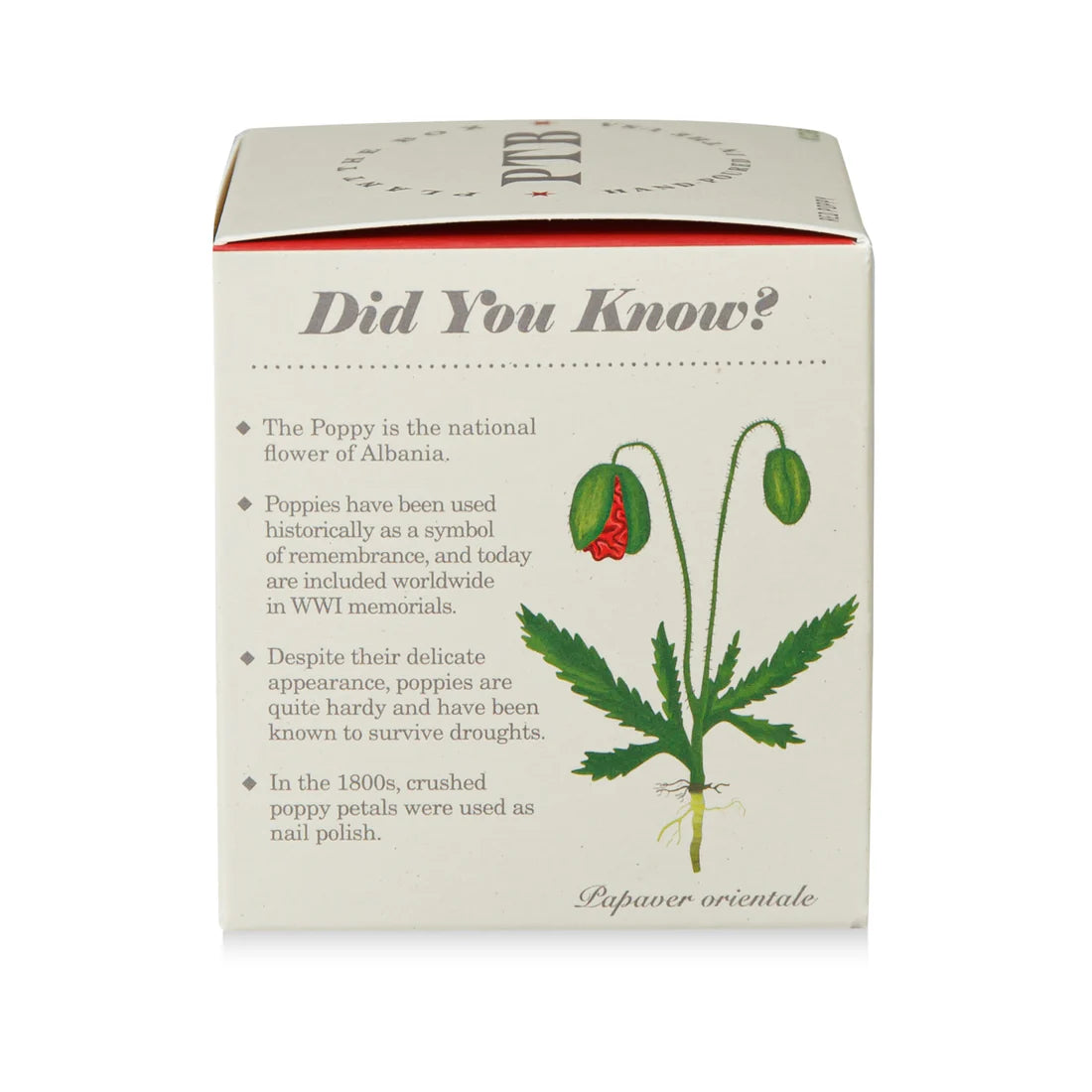 Red Poppy Flower - Pure Soy Candle Plantable Box