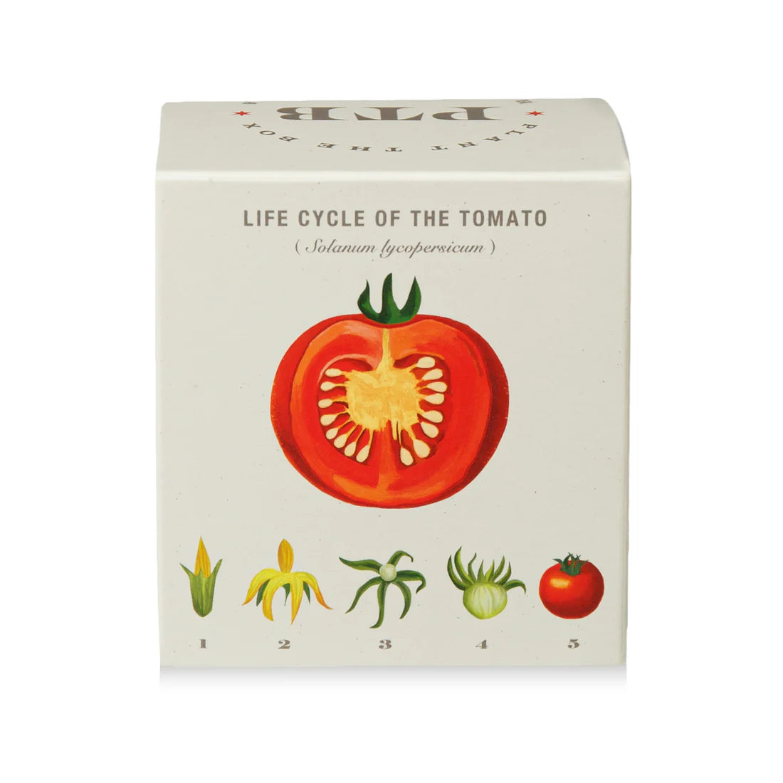 Wild Tomato Vine - Pure Soy Candle Plant The Box - Hello World Modern Mercantile