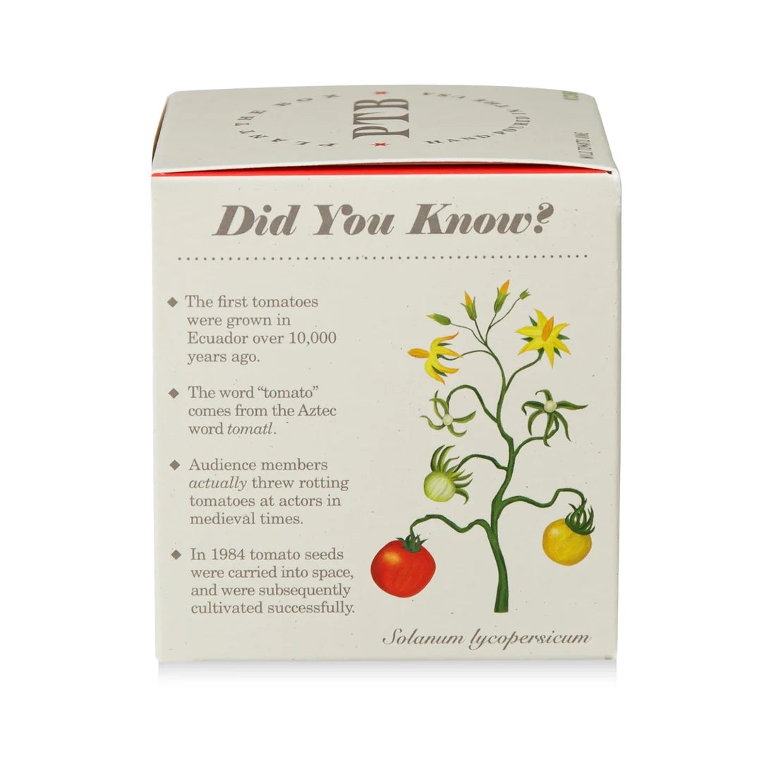 Wild Tomato Vine - Pure Soy Candle Plant The Box - Hello World Modern Mercantile
