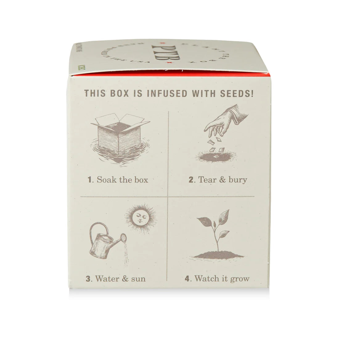 Wild Tomato Vine - Pure Soy Candle Plant The Box - Hello World Modern Mercantile