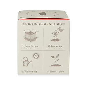 Wild Tomato Vine - Pure Soy Candle Plant The Box - Hello World Modern Mercantile
