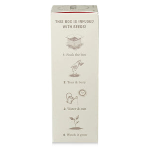 Wild Tomato Vine - Plant The Box Scented Reed Diffuser