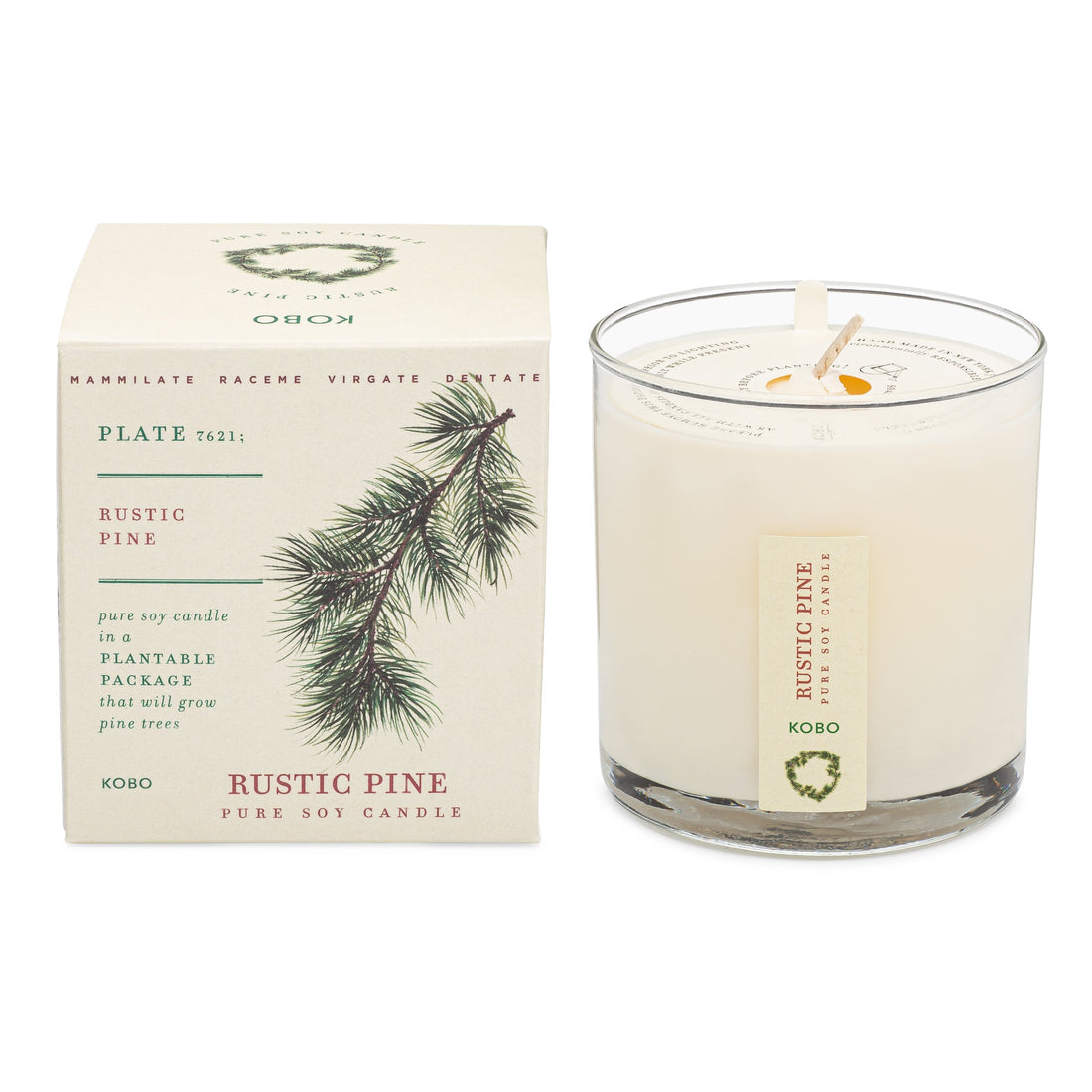 Rustic Pine - Pure Soy Candle Plantable Box