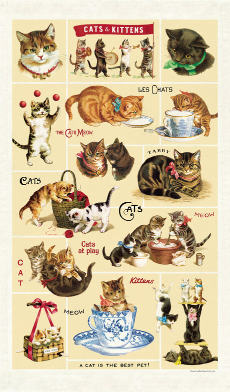 Vintage-Style Tea Towel - Cats - Hello World Modern Mercantile