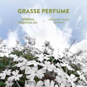 Essential Oil Eau de Toilette Roll-On Perfume - Relaxing Verbena - Hello World Modern Mercantile