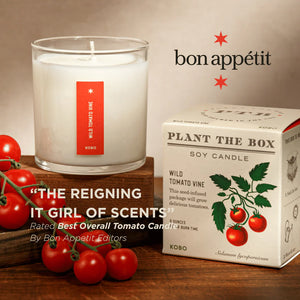 Wild Tomato Vine - Pure Soy Candle Plant The Box - Hello World Modern Mercantile