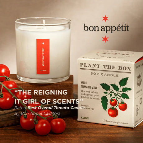 Wild Tomato Vine - Pure Soy Candle Plant The Box - Hello World Modern Mercantile