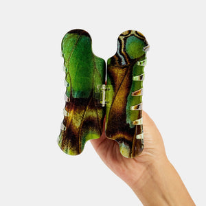 Hand holding Chunks Nimbus Hair Claw Clip in Malachite Butterfly open on a white background