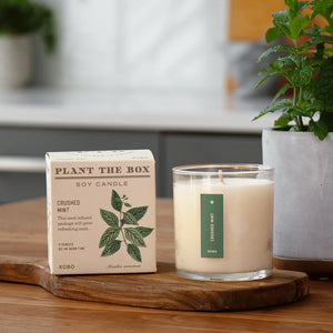 Crushed Mint - Pure Soy Candle Plantable Box - Hello World Modern Mercantile