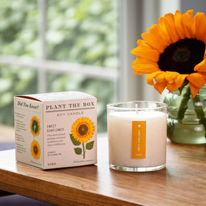 Sweet Sunflower - Pure Soy Plant The Box Candle - Hello World Modern Mercantile