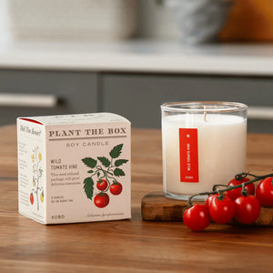 Wild Tomato Vine - Pure Soy Candle Plant The Box - Hello World Modern Mercantile