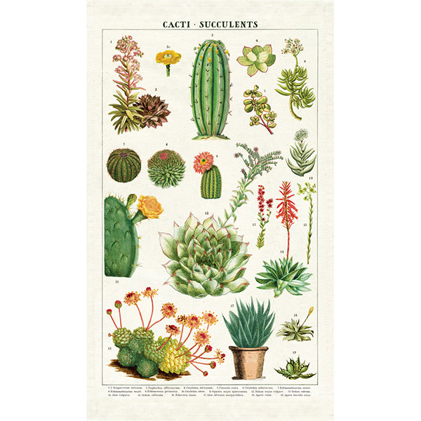 Vintage-Style Tea Towel - Succulents