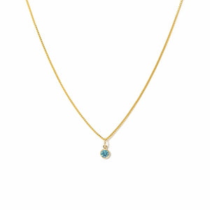 December Birthstone Gold-Filled Charm Necklace