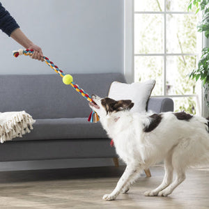 Kikkerland Kobe Make Your Own Tug Toy Kit 