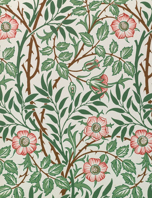 William Morris Keepsake Boxed Notecards Interior Style 1