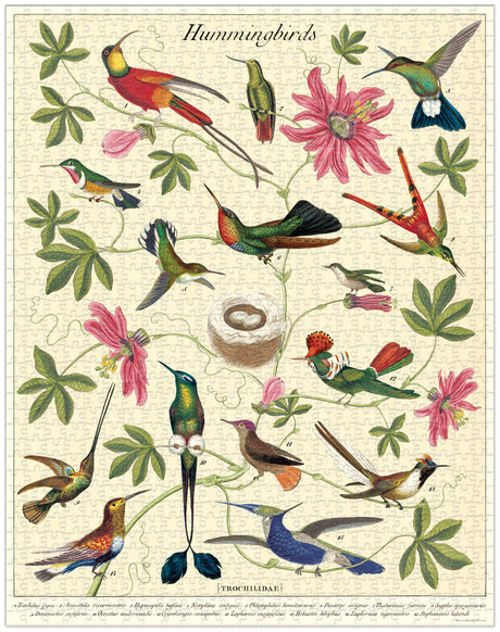 1000-Piece Vintage-Style Puzzle – Hummingbirds