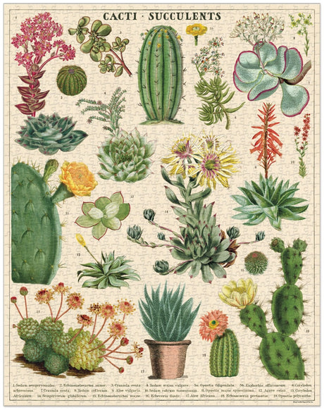 1000-Piece Vintage-Style Puzzle – Cacti & Succulents