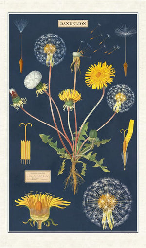 Dandelion - Vintage Tea Towel