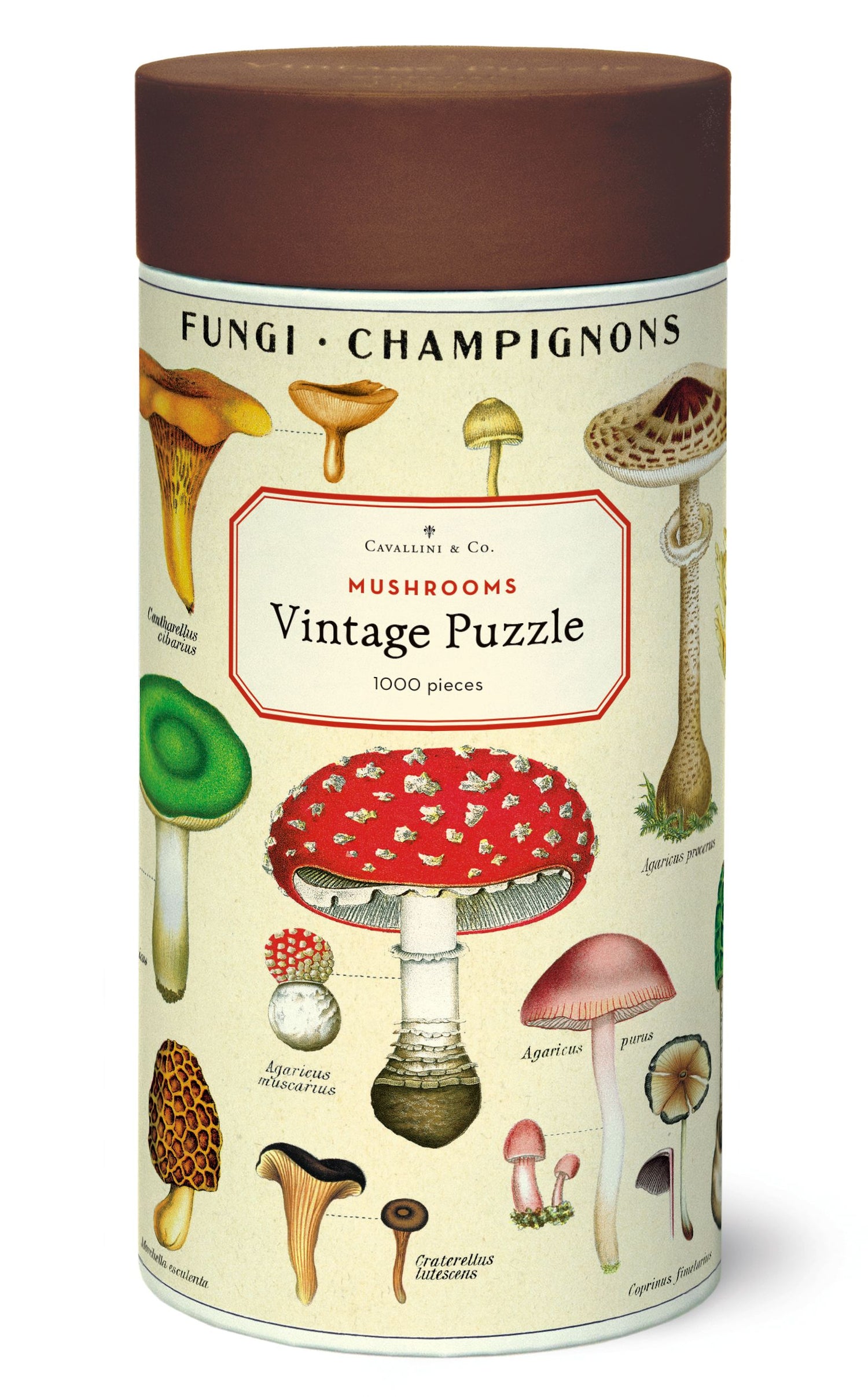1000-Piece Vintage-Style Puzzle – Mushrooms
