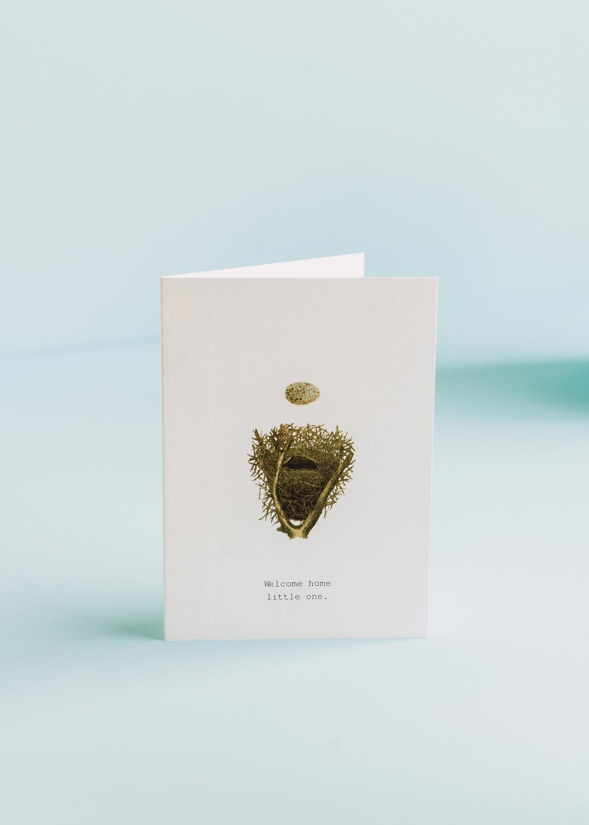 Welcome Home Little One (Nest) Greeting Card